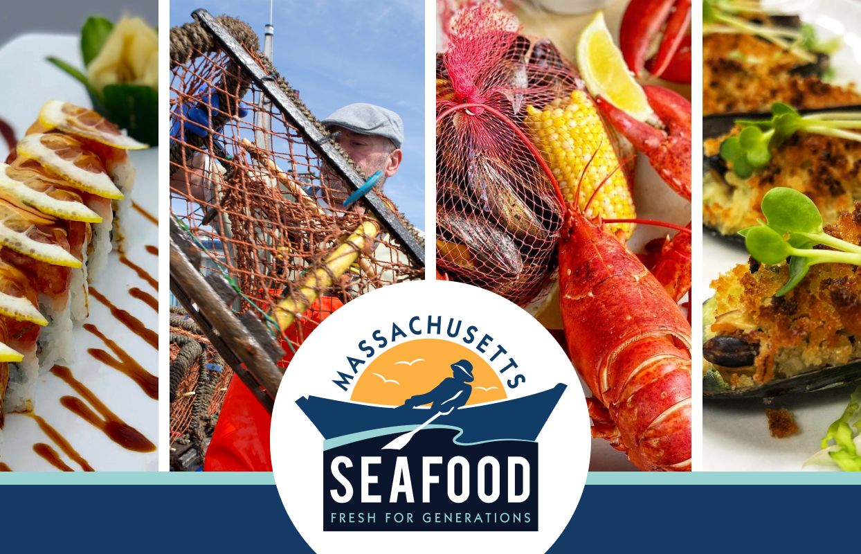 Division of Marine Fisheries banner image